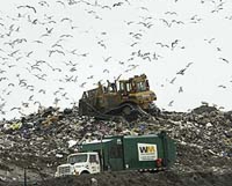 Ottawa Must Plan for Garbage Unpublished